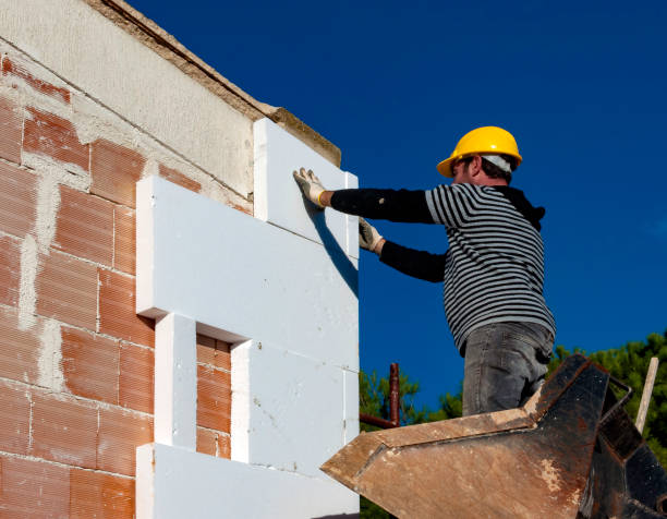 Best Professional Insulation Contractor  in Delta, CO