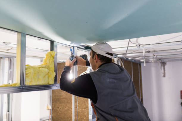 Best Attic Insulation Installation  in Delta, CO